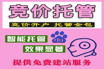 SEM优化师如何提升广告点击率——以某电商平台的成功案例为例
